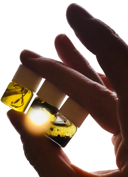 Scent : Trio